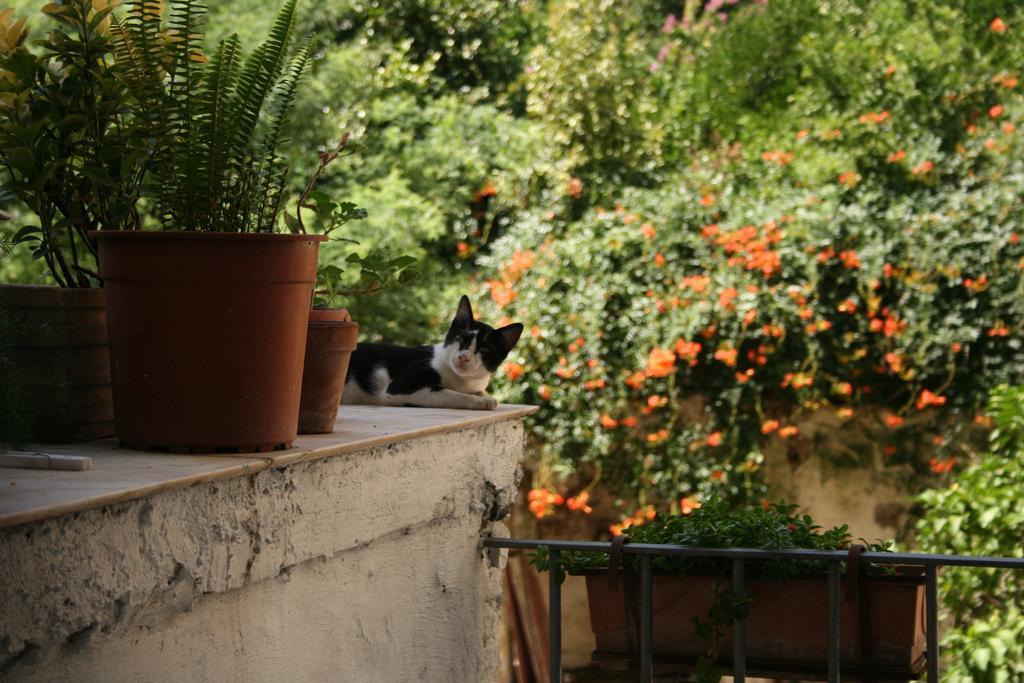 B&B Ingiropernapoli Екстер'єр фото
